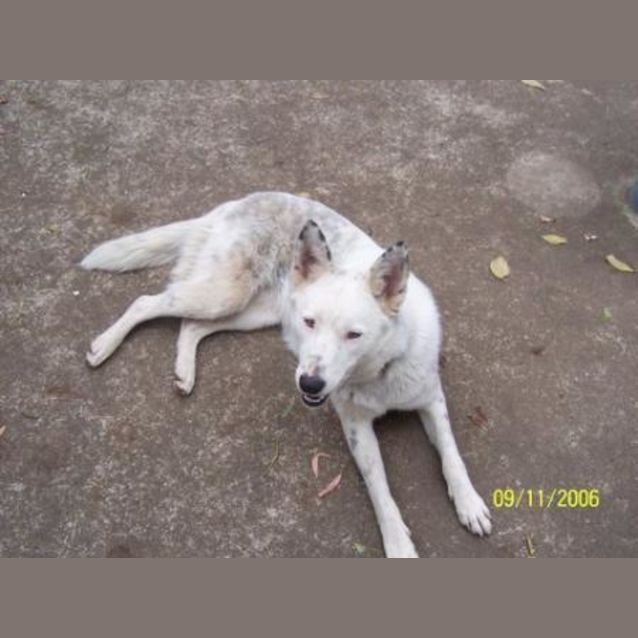 Photo of Cindy