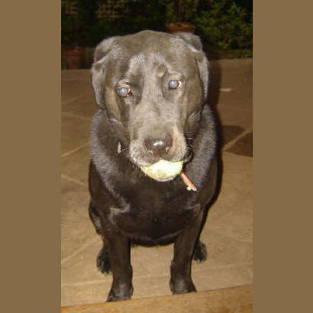 Photo of Chloe