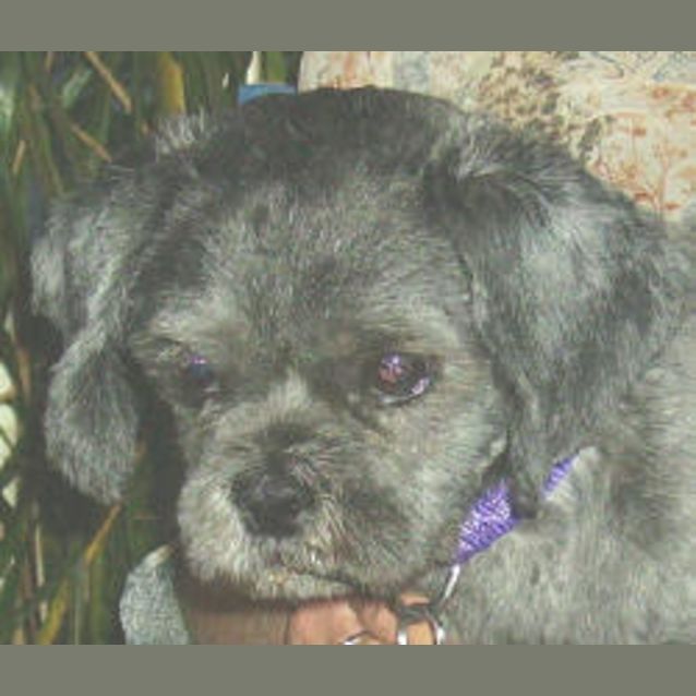 Photo of Oliver