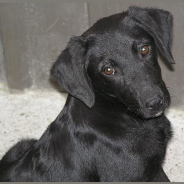 Photo of Bronte