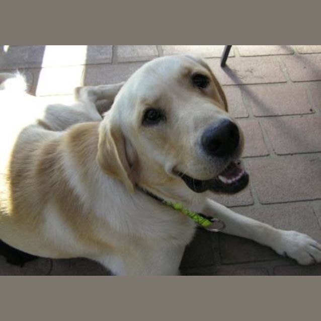 Photo of Huey