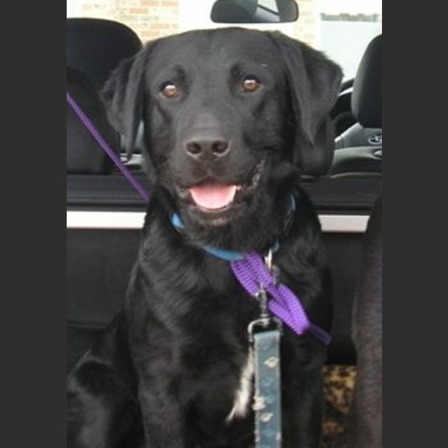 Photo of Milo