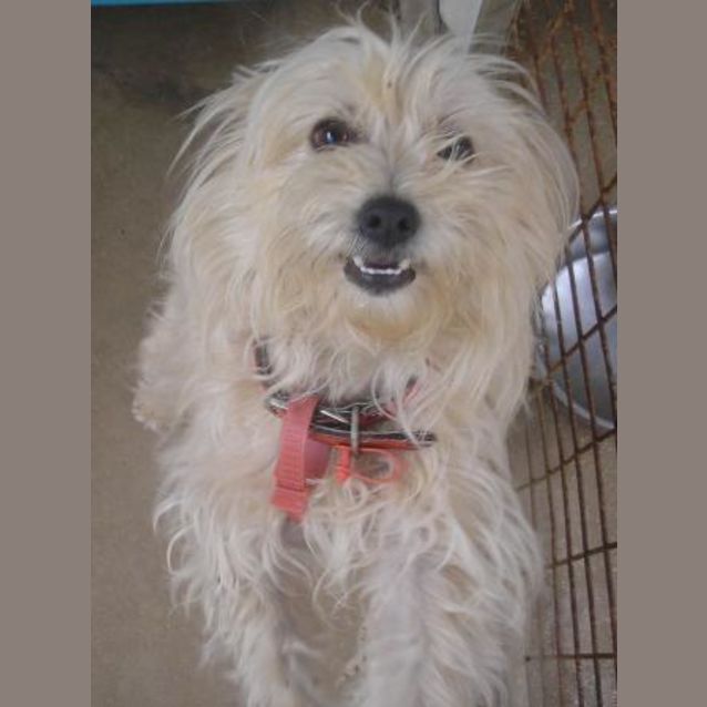 Photo of Sophie, Lovely Smiling