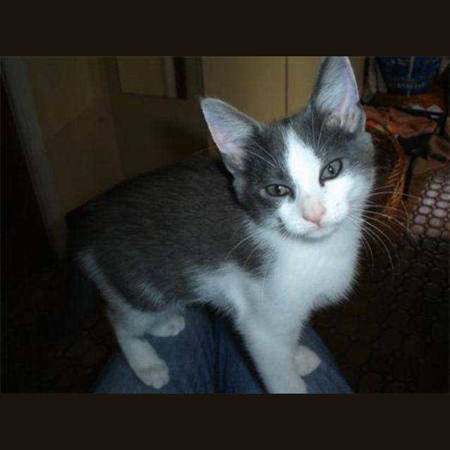 Photo of Lucky