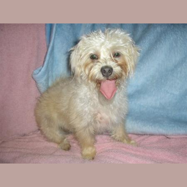 Photo of Sophie