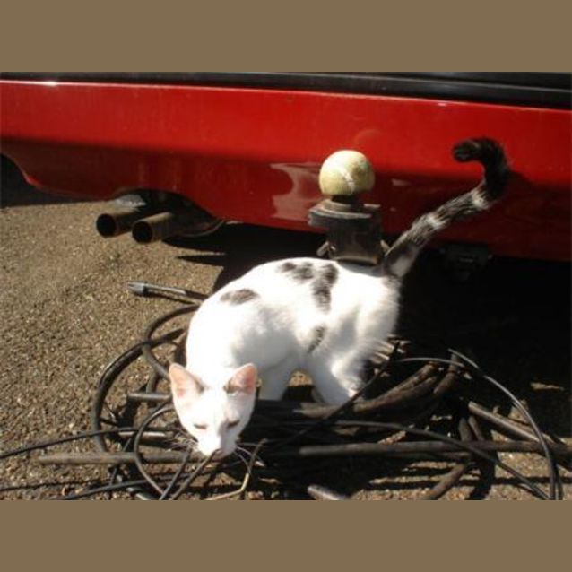 Photo of Kasey