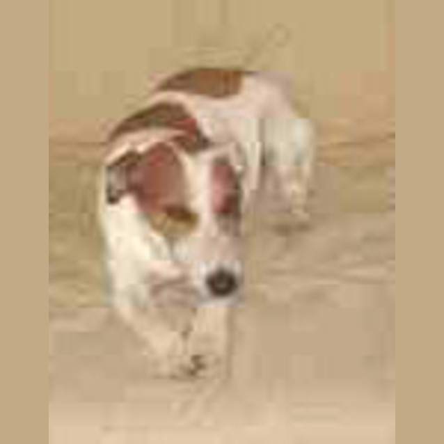 Photo of Jack