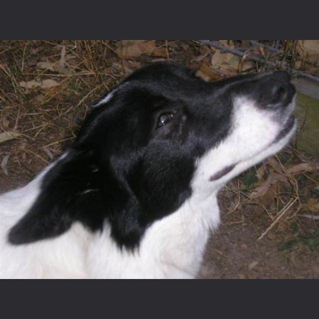 Photo of Ben