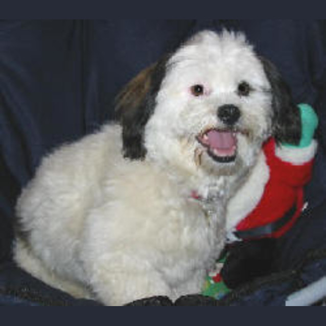 Photo of Meg