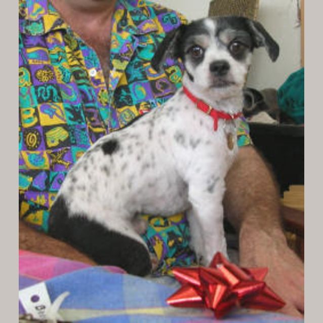 Photo of Georgie Porgie