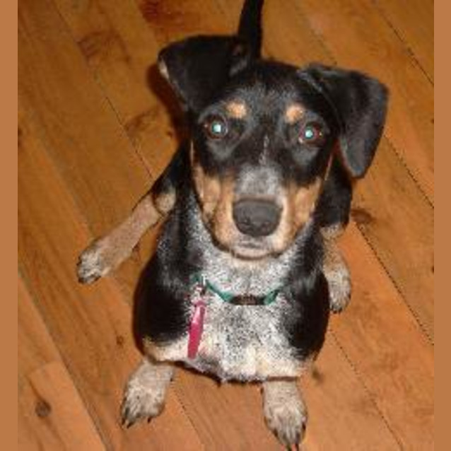 Photo of Nina