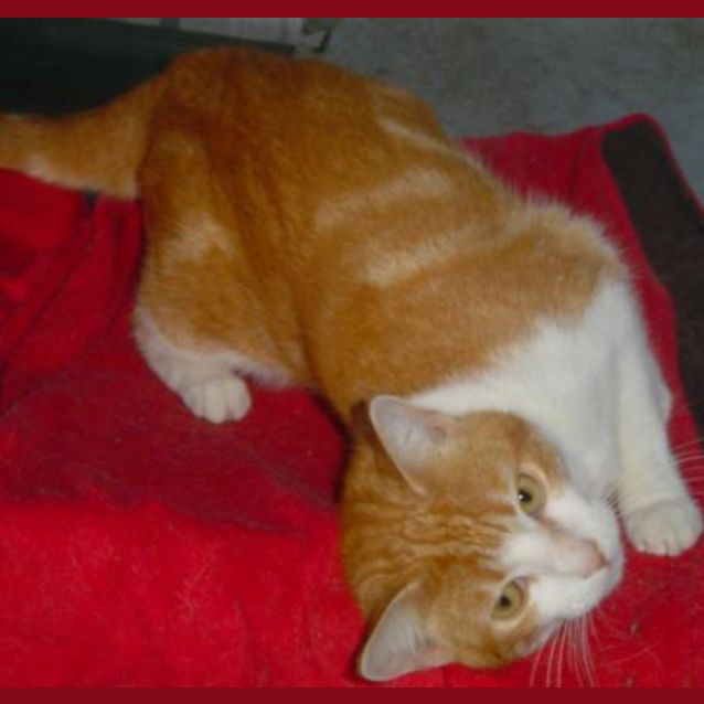 Photo of Maggie