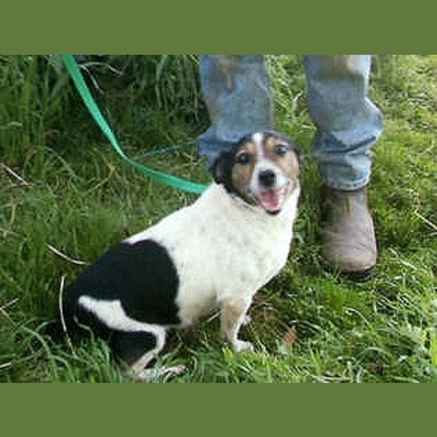 Photo of Libby