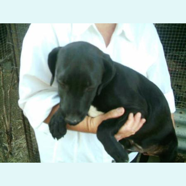 Photo of Benny