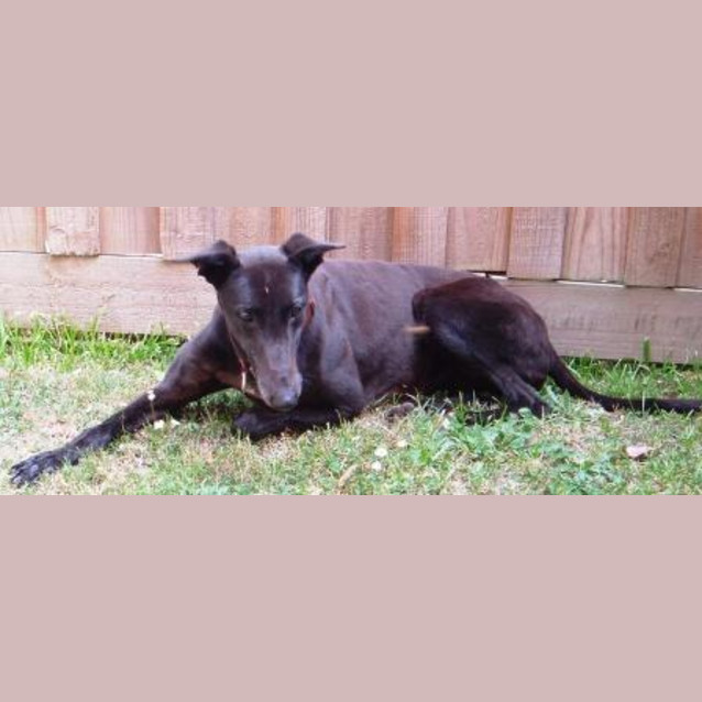 Photo of Wilma