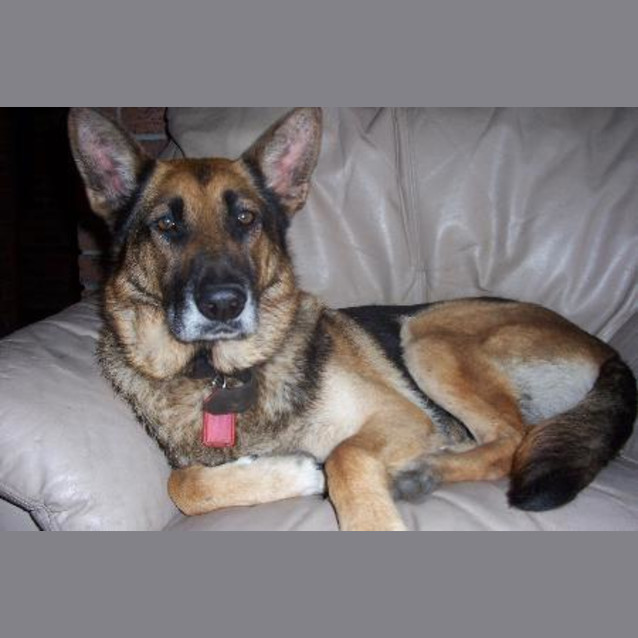 Photo of Tasha