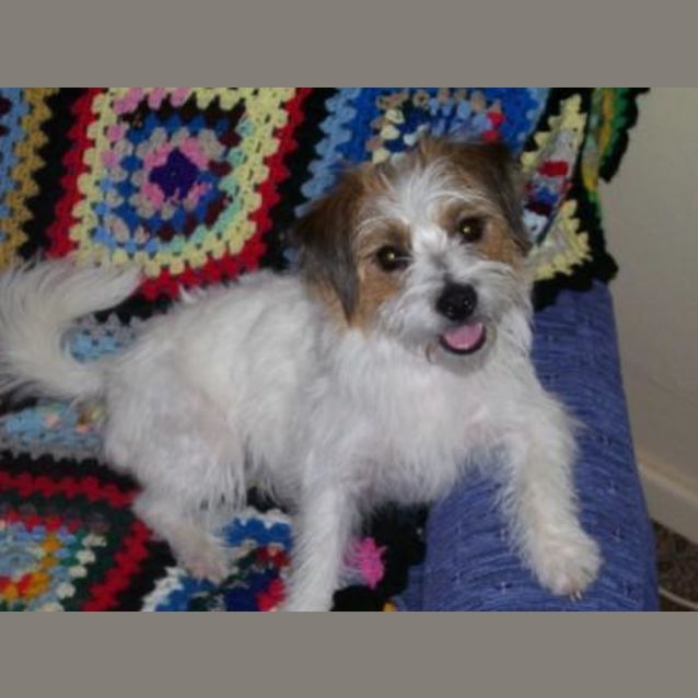 Photo of Jazzy