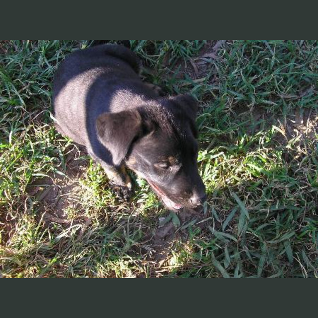 Photo of Jasper