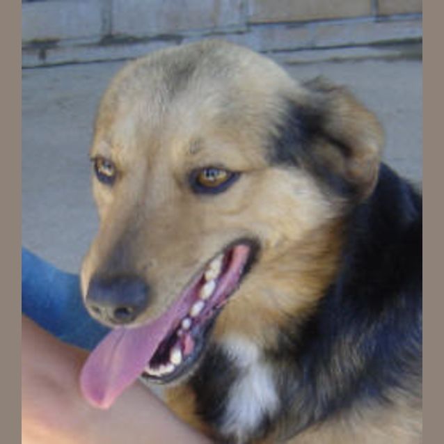 Photo of Bozo