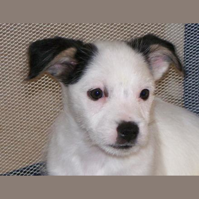 Photo of Ernie