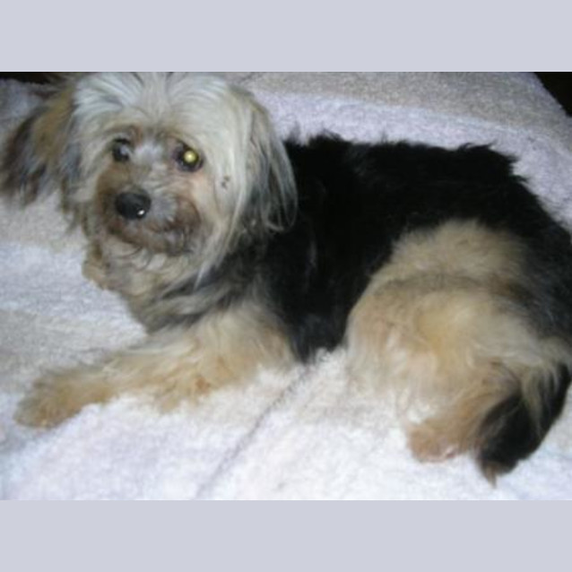 Photo of Belle