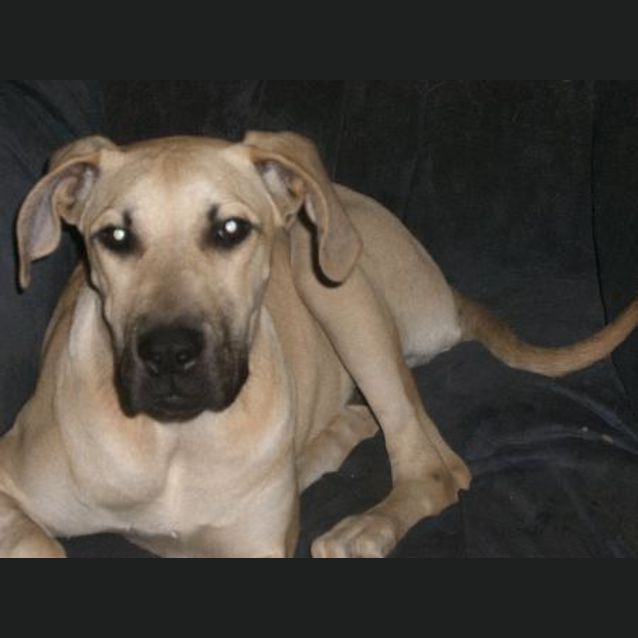 Photo of I Am On Hold Leila