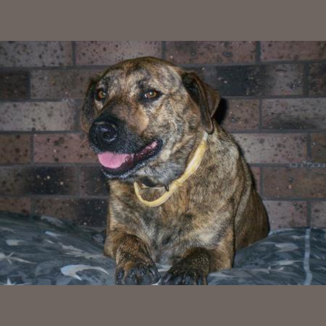 Photo of Tank