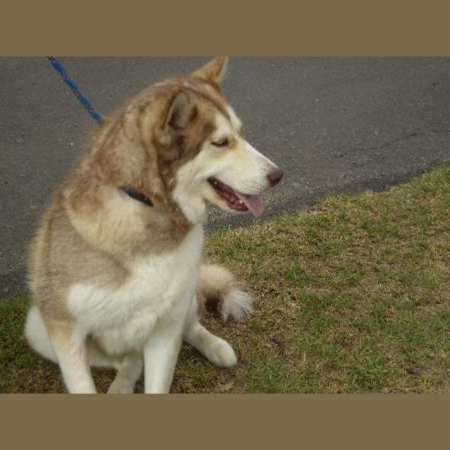 Photo of Heidi
