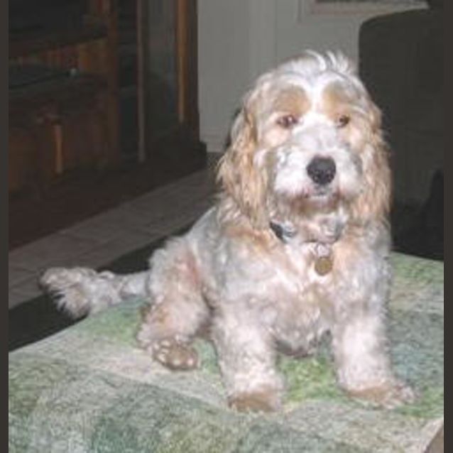Photo of Monty