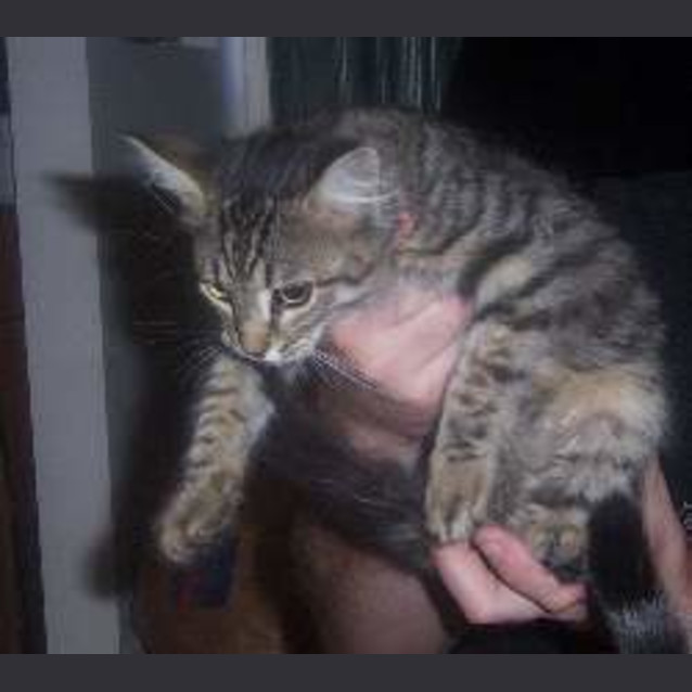 Photo of Hans
