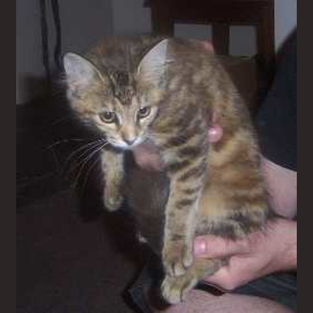 Photo of Leila