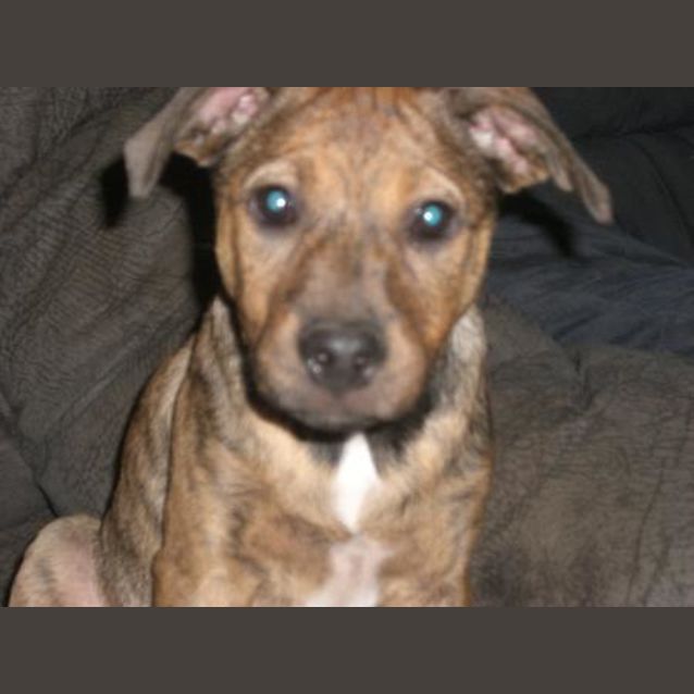 Photo of I Am On Hold Tala