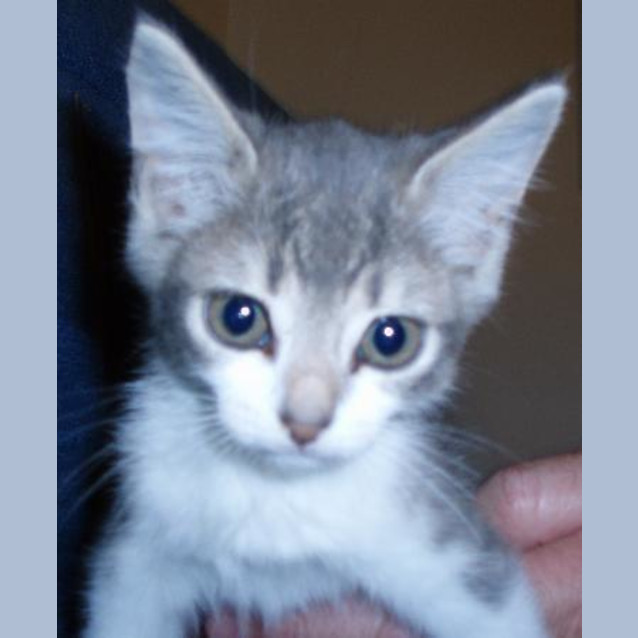 Photo of Lucy