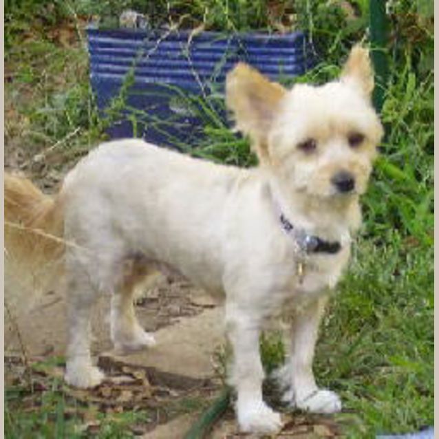 Photo of Kimmy Klisters