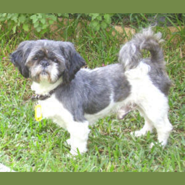Photo of Paddy