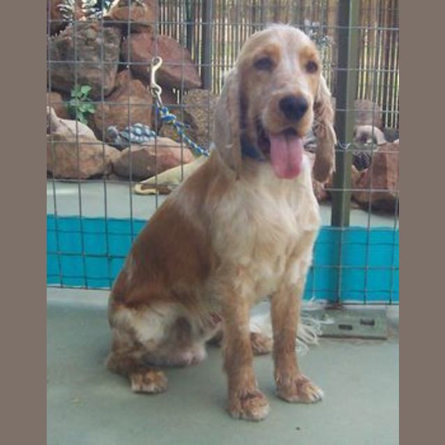 Photo of Lucky