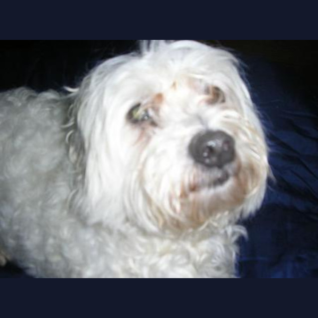 Photo of Charlie
