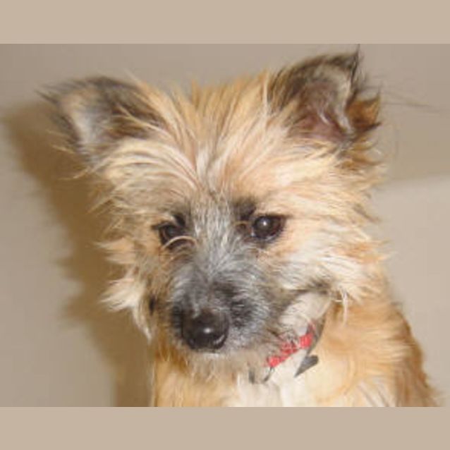 Photo of Beckie