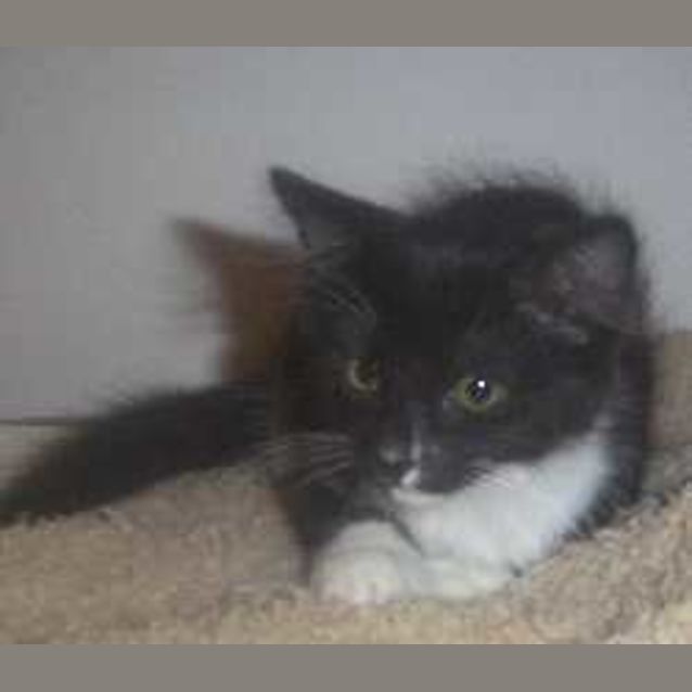 Photo of Dilly