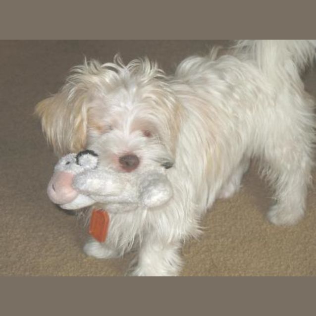 Photo of Rexie