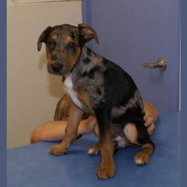 Photo of Heinz57