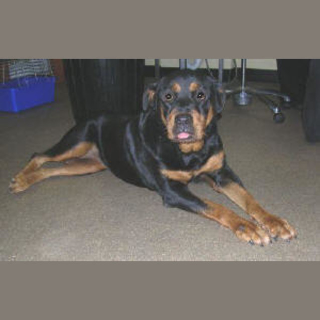 Photo of Cassie