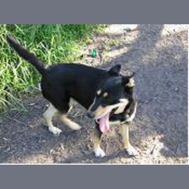 Photo of Storm