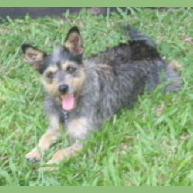 Photo of Minnie