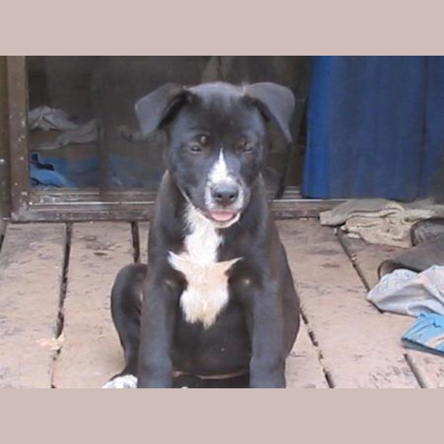 Photo of Angel