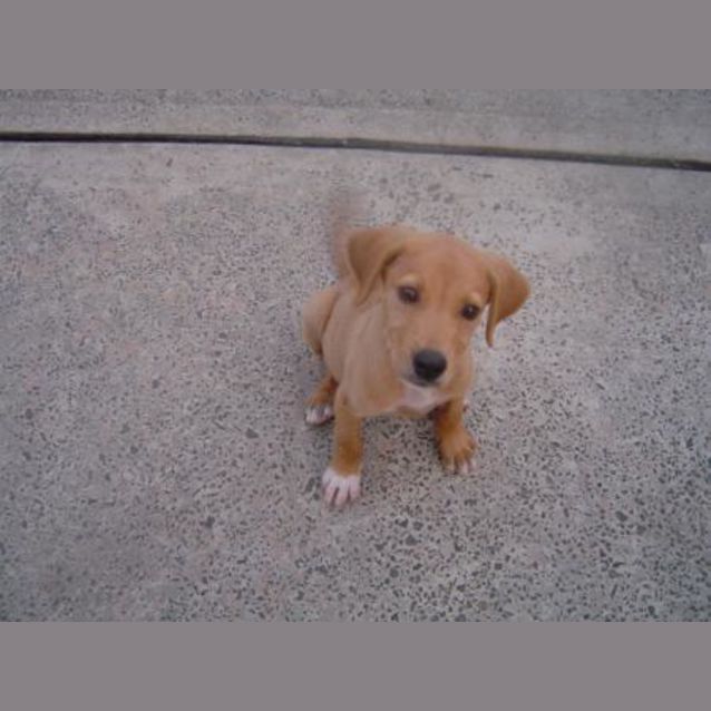 Photo of Boo