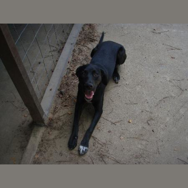 Photo of Molly