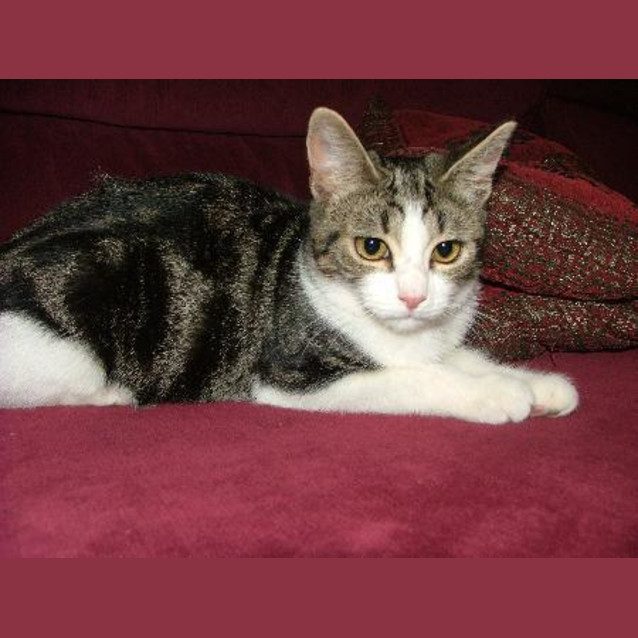 Photo of Zoe