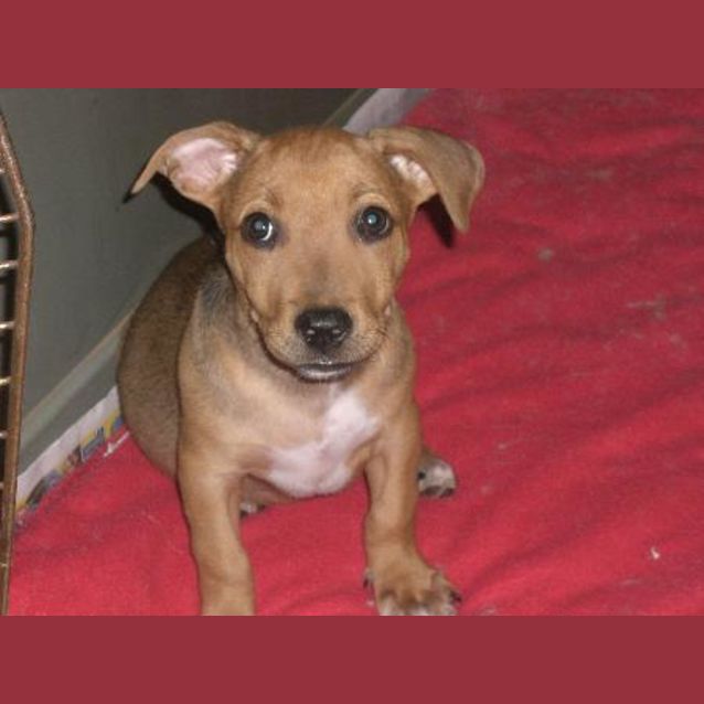 Photo of I Am On Hold   Flann