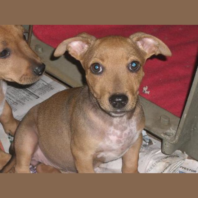 Photo of I Am On Hold   Flann